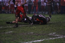 Enlarge photo 93