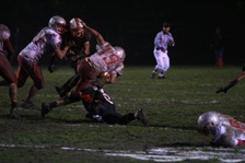 Enlarge photo 148