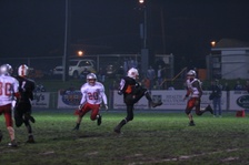 Enlarge photo 168