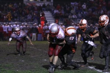Enlarge photo 258