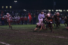 Enlarge photo 304