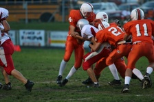 Enlarge photo 64