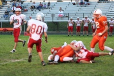 Enlarge photo 82