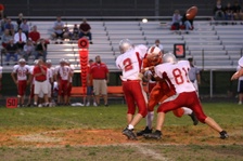 Enlarge photo 113