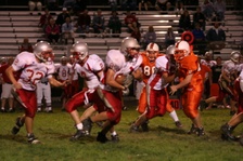Enlarge photo 249