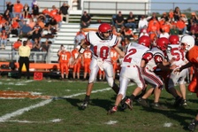 Enlarge photo 93