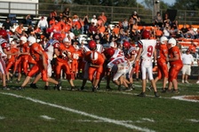 Enlarge photo 111
