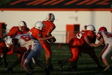 Enlarge photo 141