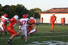 Enlarge photo 181