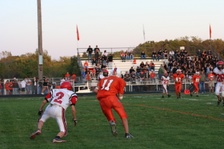 Enlarge photo 239