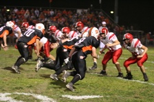 Enlarge photo 115
