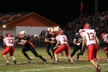 Enlarge photo 143