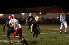 Enlarge photo 178