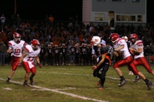 Enlarge photo 242
