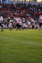 Enlarge photo 157