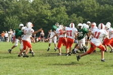 Enlarge photo 82