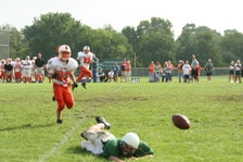 Enlarge photo 83