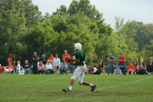 Enlarge photo 98