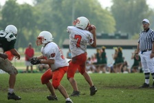 Enlarge photo 114