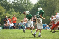 Enlarge photo 116