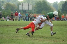 Enlarge photo 119