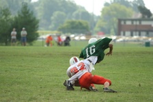Enlarge photo 121