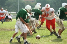 Enlarge photo 125