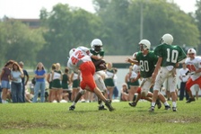 Enlarge photo 131