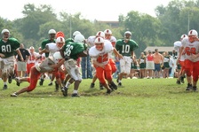 Enlarge photo 135