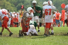 Enlarge photo 137