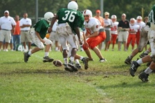 Enlarge photo 138