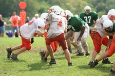 Enlarge photo 146