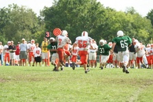 Enlarge photo 152