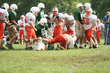 Enlarge photo 154