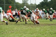 Enlarge photo 170