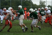 Enlarge photo 174