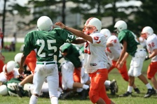Enlarge photo 192