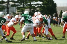 Enlarge photo 193