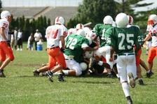 Enlarge photo 194