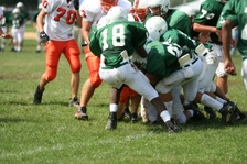 Enlarge photo 195