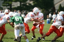 Enlarge photo 197