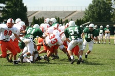 Enlarge photo 198