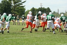 Enlarge photo 202