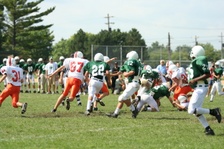 Enlarge photo 205