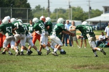 Enlarge photo 206