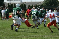 Enlarge photo 225