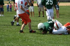 Enlarge photo 227
