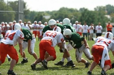 Enlarge photo 228