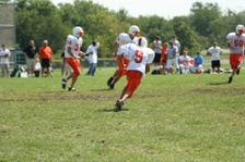 Enlarge photo 234