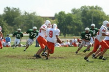Enlarge photo 233